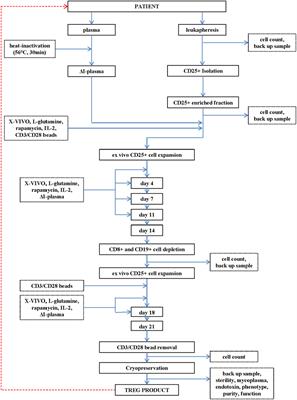 Good Manufacturing Practice-Compliant Production and Lot-Release of Ex Vivo Expanded Regulatory T Cells As Basis for Treatment of Patients with Autoimmune and Inflammatory Disorders